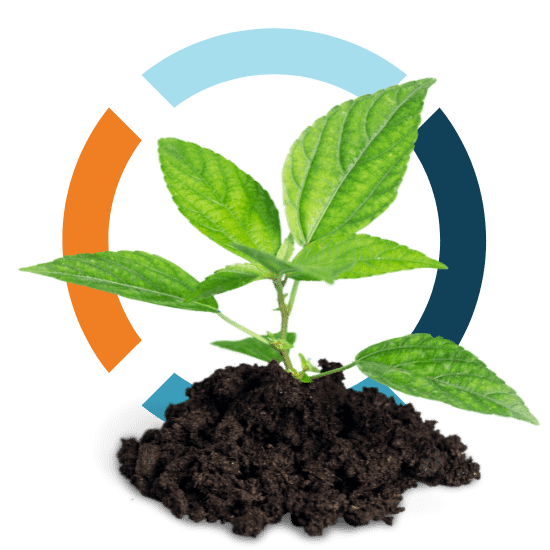 growing plant with 4c global icon